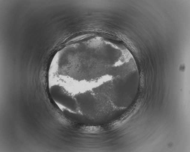 X0000116440449201001191535