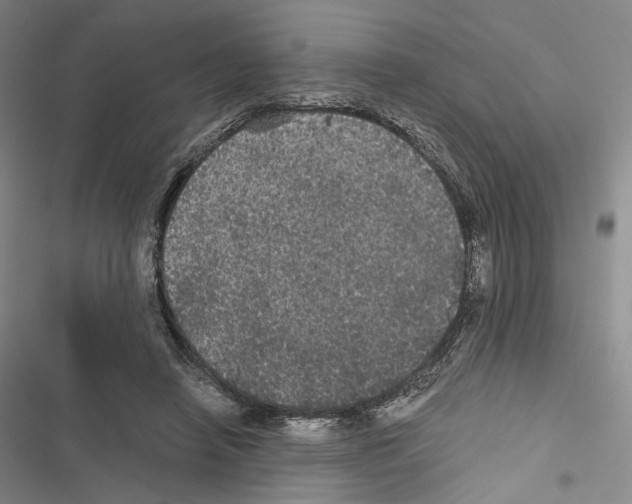 X0000116440450201001191535