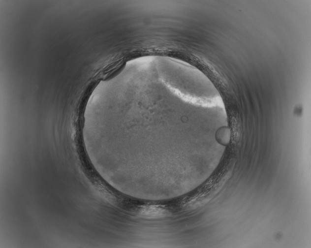 X0000116440451201001191535