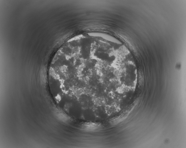 X0000116440453201001191535