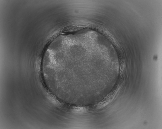 X0000116440454201001191535