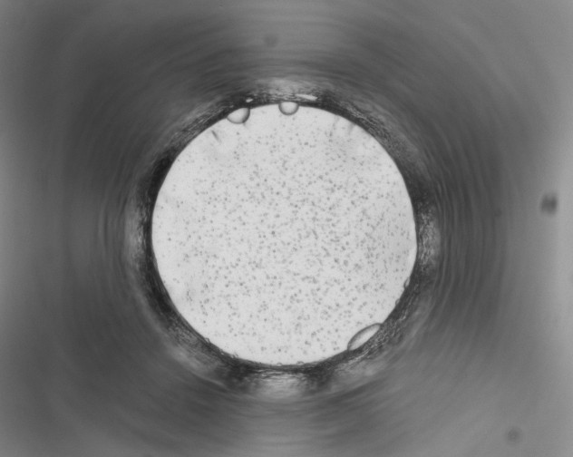 X0000116440456201001191535