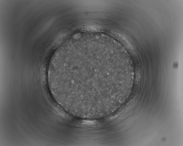 X0000116440457201001191535