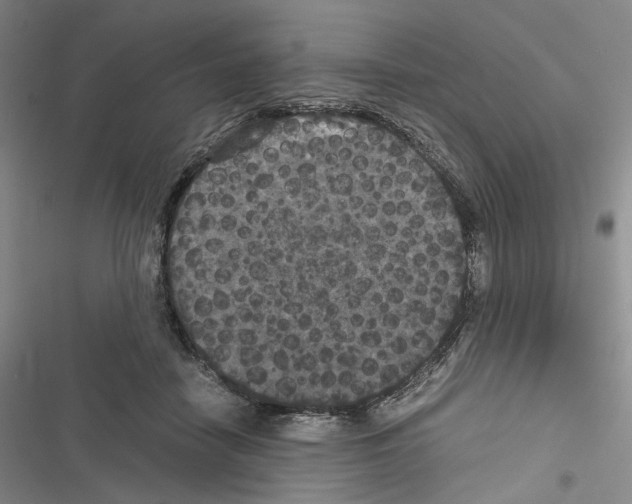 X0000116440458201001191535