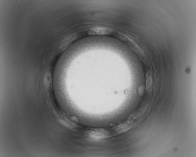 X0000116440459201001191535