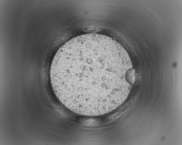 X0000116440460201001191535