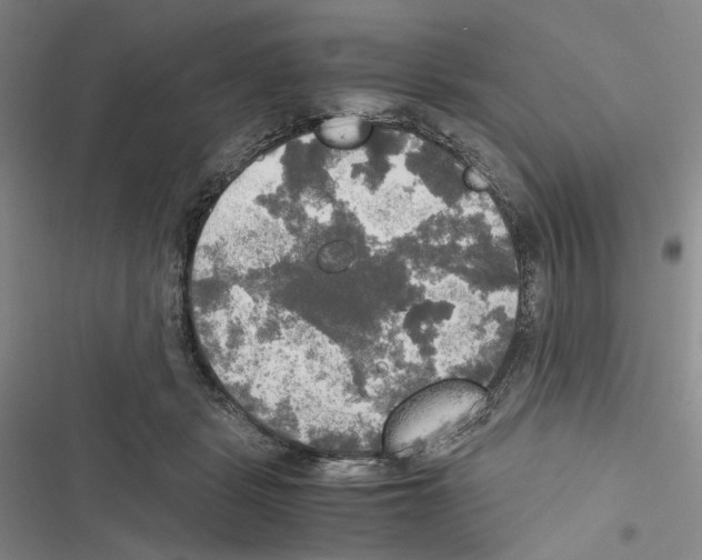 X0000116440461201001191535