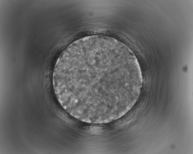 X0000116440462201001191535