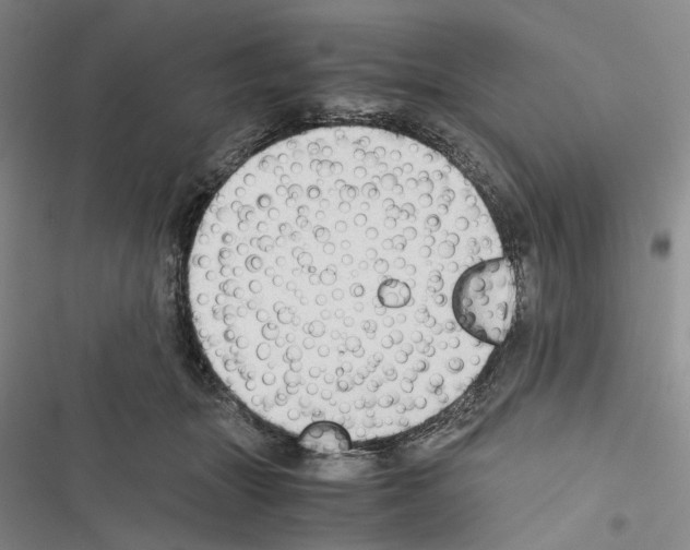 X0000116440463201001191535