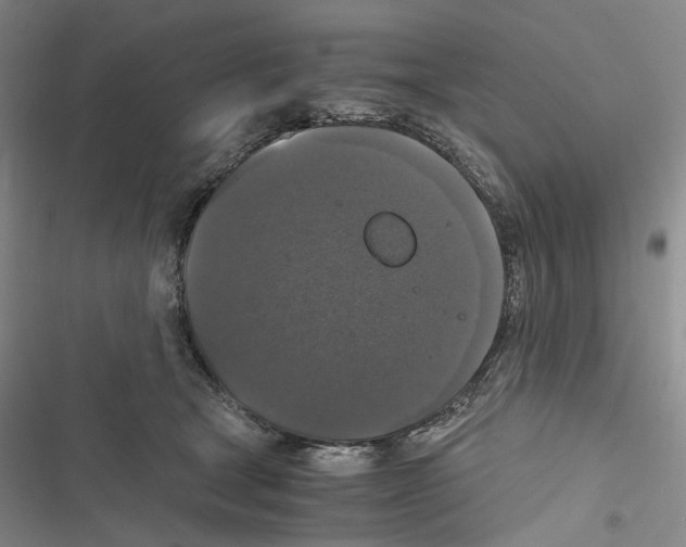 X0000116440465201001191535