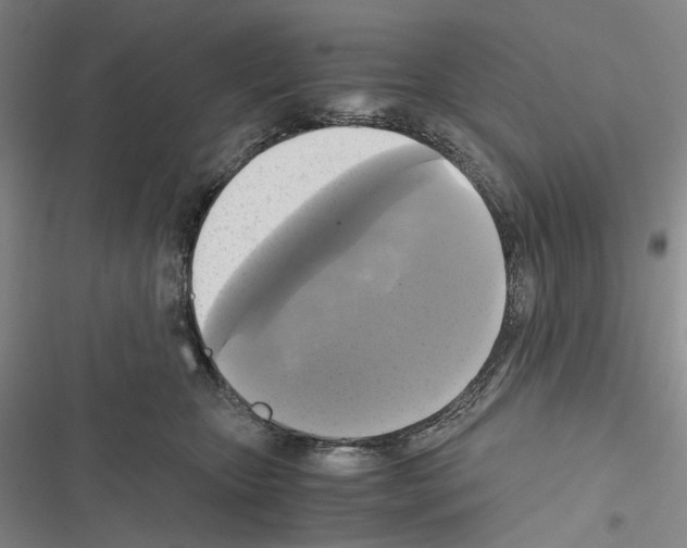 X0000116440467201001191535