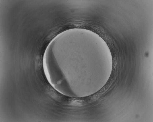 X0000116440471201001191535