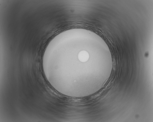 X0000116440472201001191535