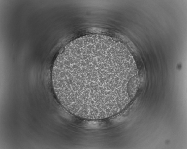 X0000116440473201001191535