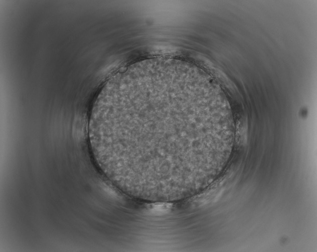 X0000116440474201001191535