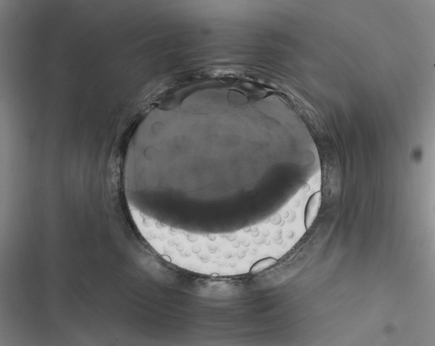 X0000116440475201001191535