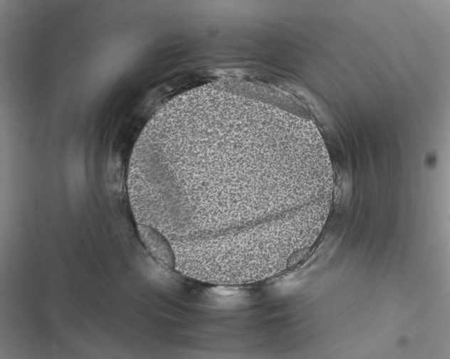 X0000116440477201001191535