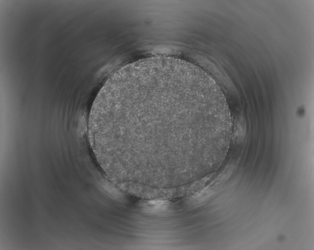 X0000116440478201001191535