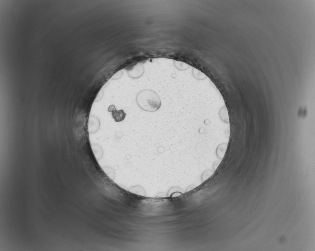 X0000116440480201001191535