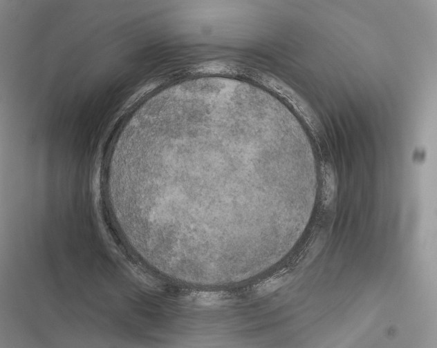 X0000116440482201001191535