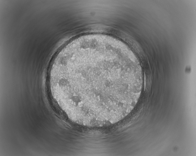 X0000116440483201001191535