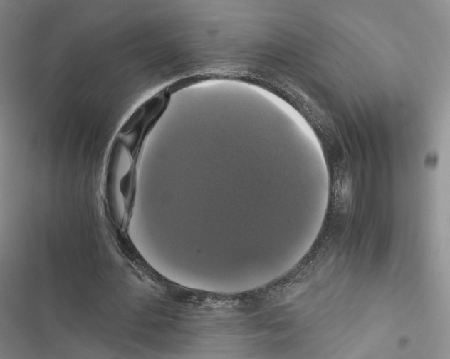 X0000116440484201001191535