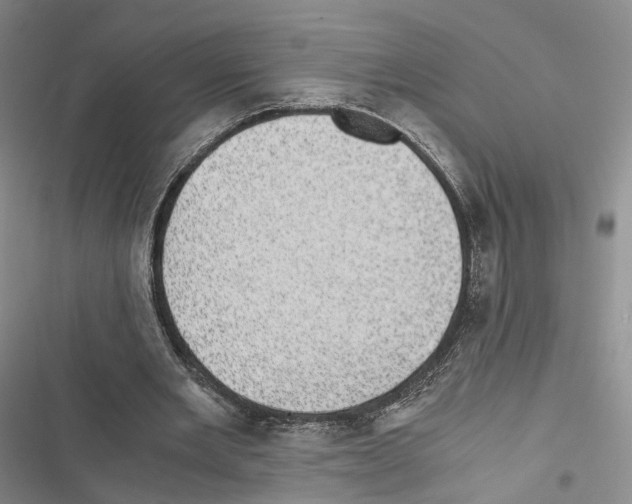 X0000116440485201001191535