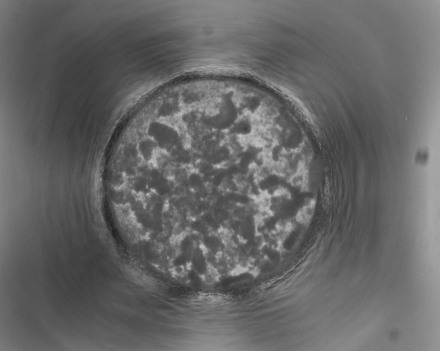 X0000116440487201001191535