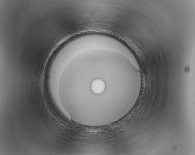 X0000116440488201001191535