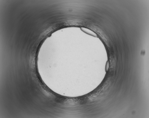 X0000116440489201001191535