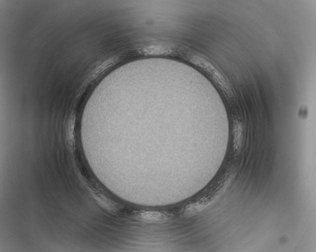 X0000116440490201001191535