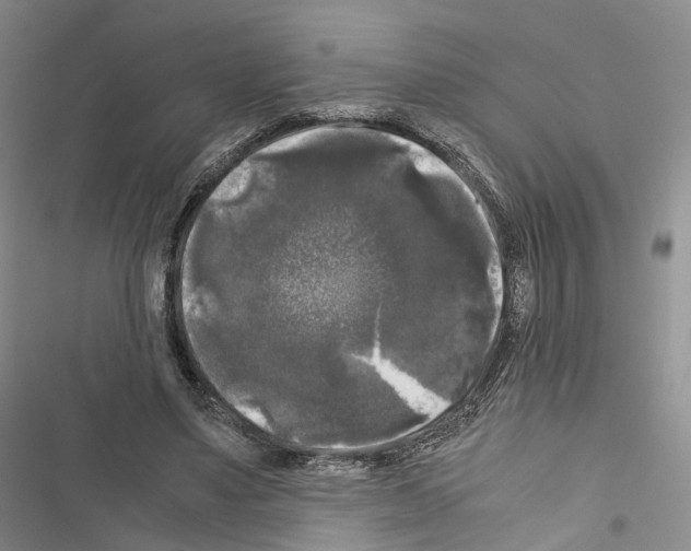 X0000116440491201001191535