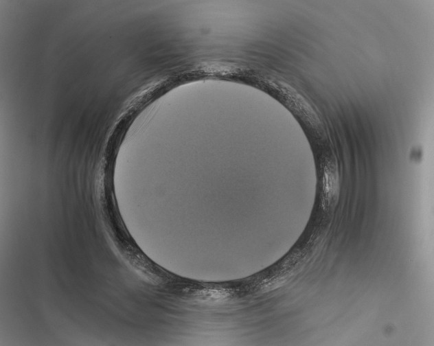 X0000116440492201001191535