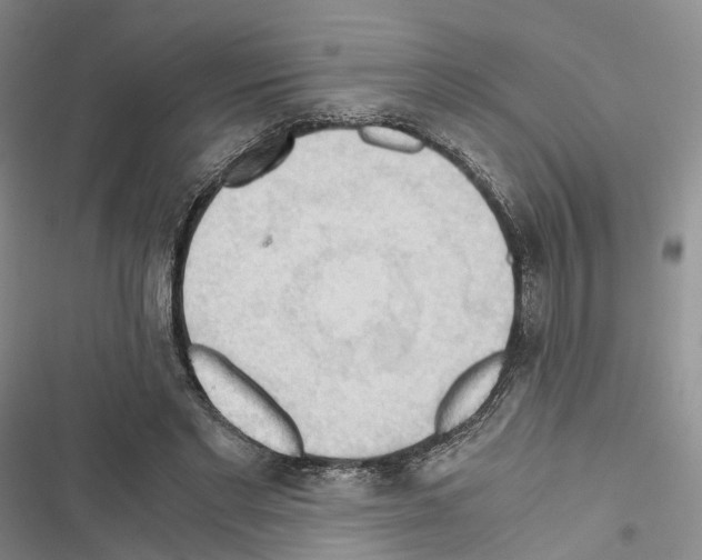 X0000116440493201001191535