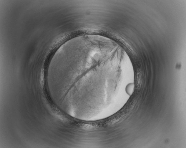 X0000116440494201001191535