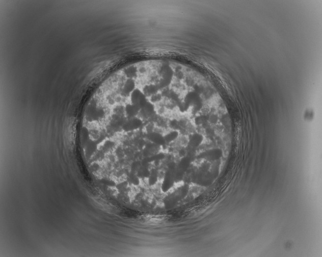 X0000116440495201001191535