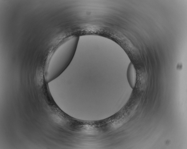 X0000116440496201001191535