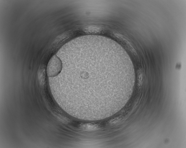 X0000116440498201001191535