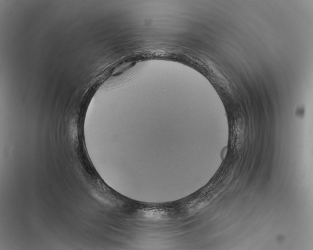 X0000116440500201001191535