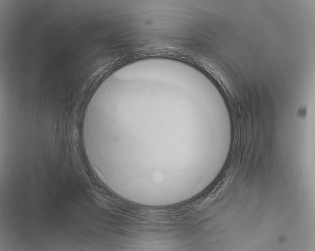 X0000116440501201001191535