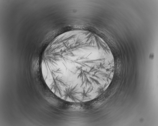 X0000116440502201001191535