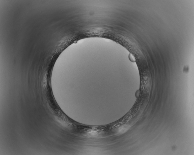 X0000116440504201001191535