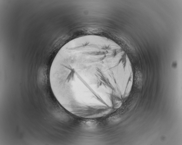 X0000116440506201001191535