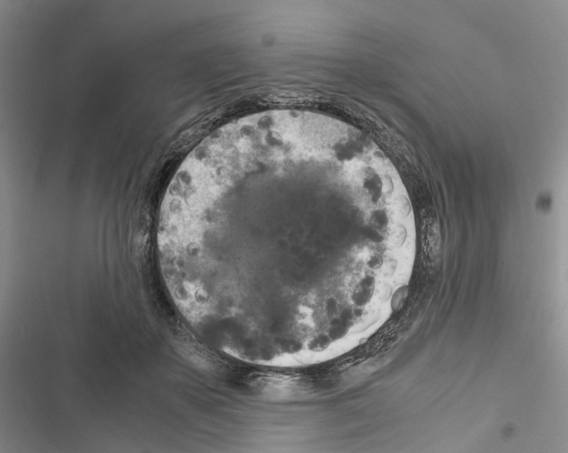 X0000116440507201001191534