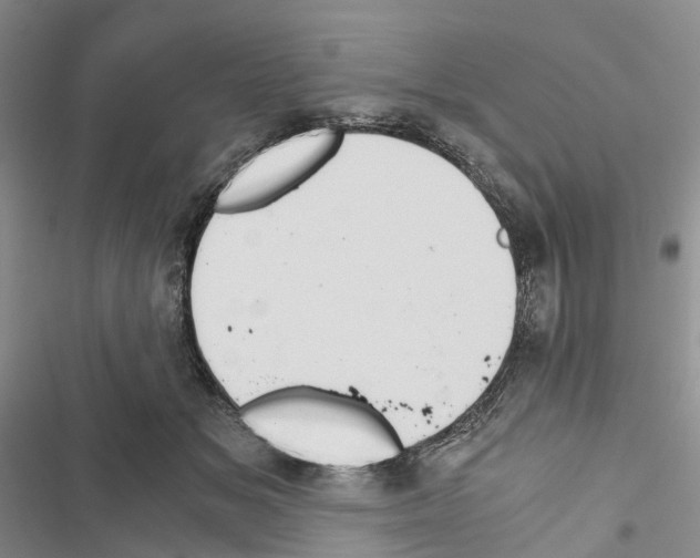 X0000116440509201001191534