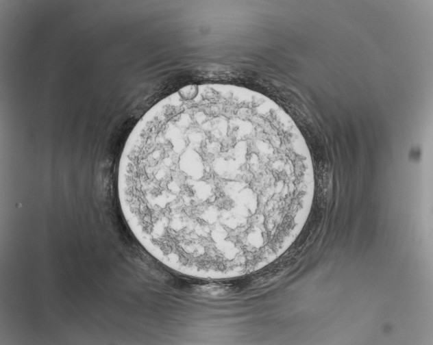 X0000116440511201001191534