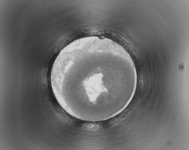 X0000116440512201001191534