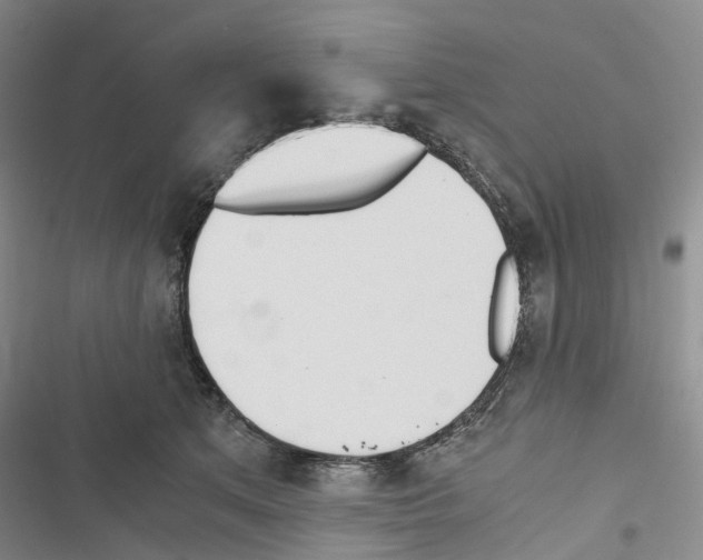 X0000116440513201001191534