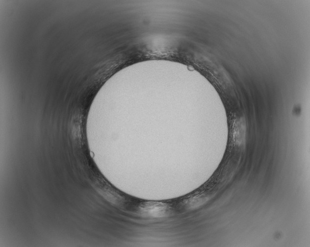 X0000116440514201001191534