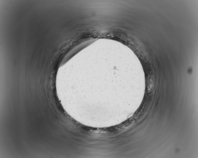 X0000116440515201001191534